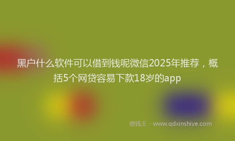 黑户什么软件可以借到钱呢微信2025年推荐，概括5个网贷容易下款18岁的app