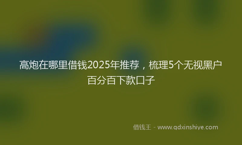 高炮在哪里借钱2025年推荐，梳理5个无视黑户百分百下款口子