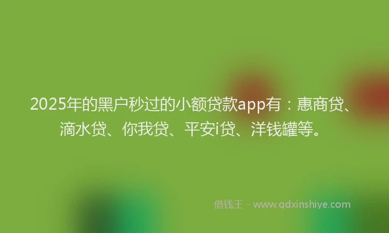 2025年的黑户秒过的小额贷款app有：惠商贷、滴水贷、你我贷、平安i贷、洋钱罐等。