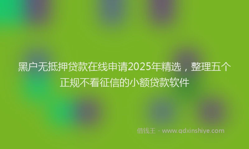 黑户无抵押贷款在线申请2025年精选，整理五个正规不看征信的小额贷款软件