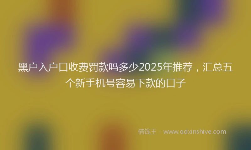 黑户入户口收费罚款吗多少2025年推荐，汇总五个新手机号容易下款的口子