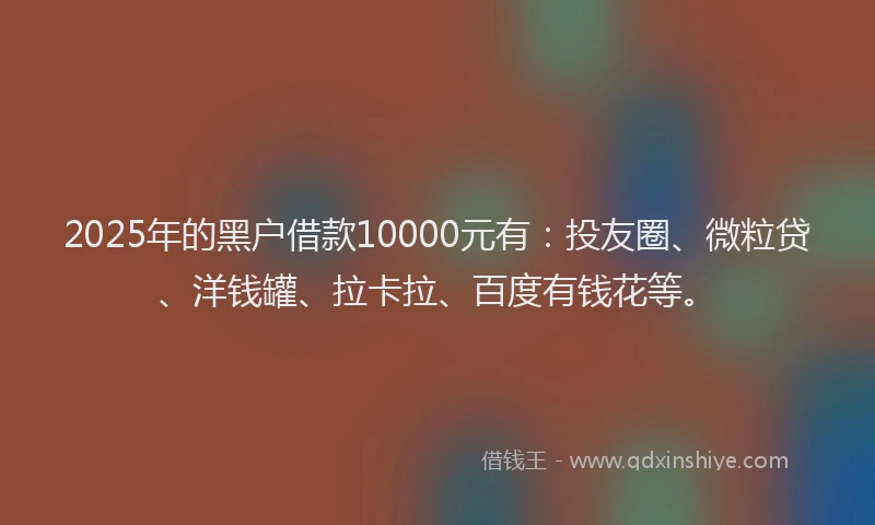 2025年的黑户借款10000元有：投友圈、微粒贷、洋钱罐、拉卡拉、百度有钱花等。