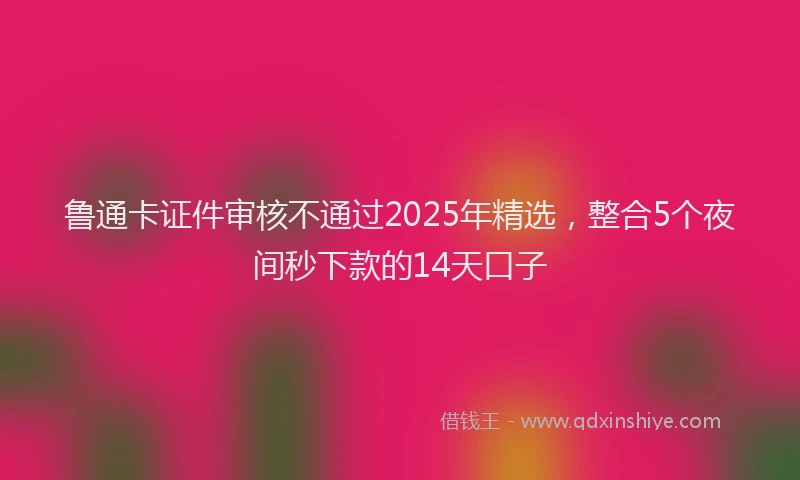 鲁通卡证件审核不通过2025年精选，整合5个夜间秒下款的14天口子