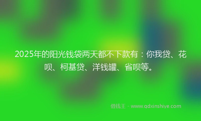 2025年的阳光钱袋两天都不下款有：你我贷、花呗、柯基贷、洋钱罐、省呗等。