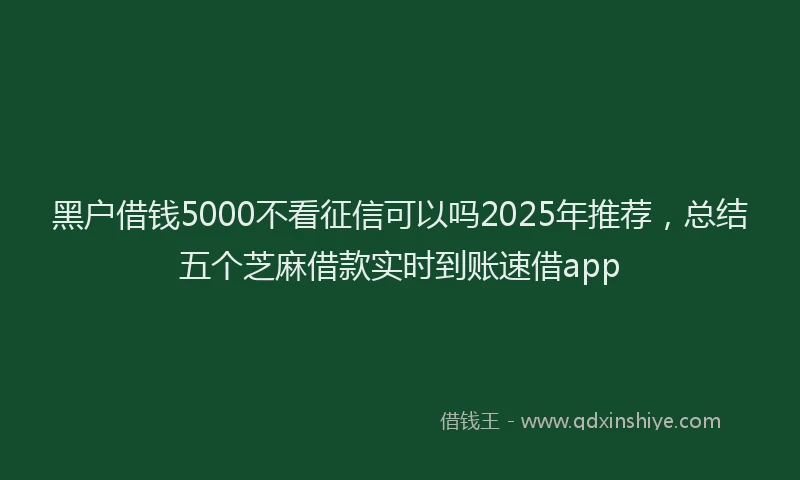 黑户借钱5000不看征信可以吗2025年推荐，总结五个芝麻借款实时到账速借app