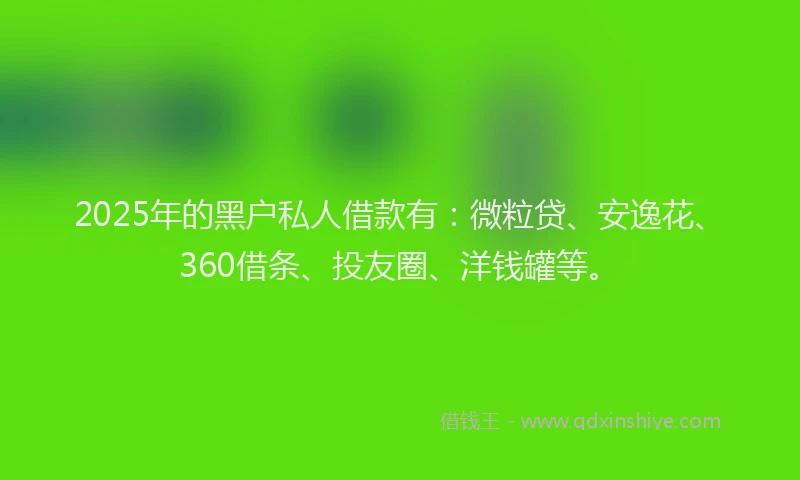 2025年的黑户私人借款有：微粒贷、安逸花、360借条、投友圈、洋钱罐等。