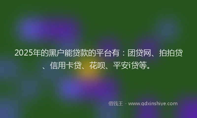 2025年的黑户能贷款的平台有：团贷网、拍拍贷、信用卡贷、花呗、平安i贷等。