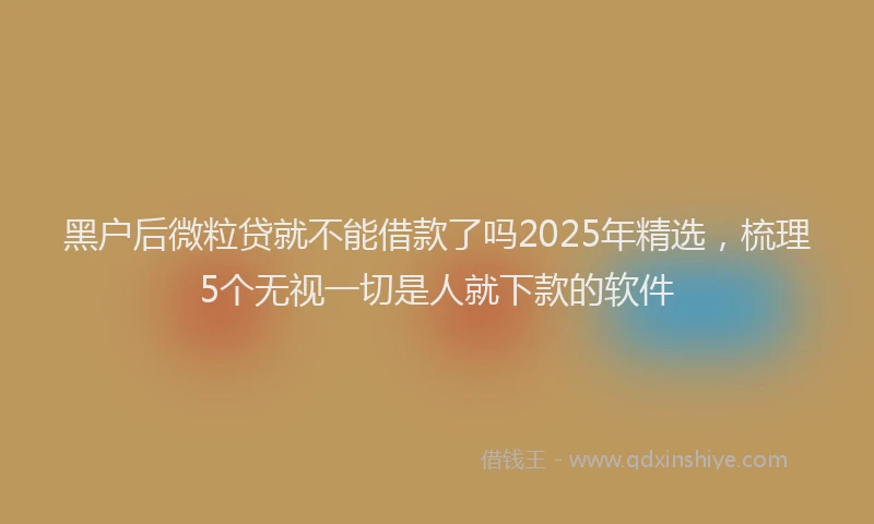黑户后微粒贷就不能借款了吗2025年精选，梳理5个无视一切是人就下款的软件
