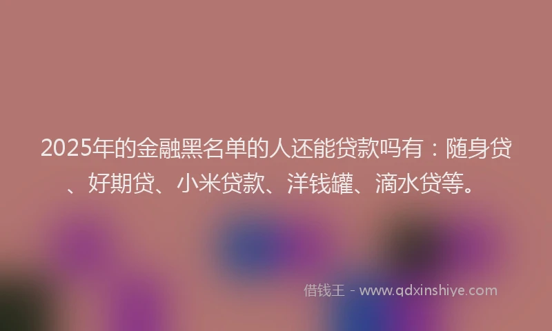 2025年的金融黑名单的人还能贷款吗有：随身贷、好期贷、小米贷款、洋钱罐、滴水贷等。