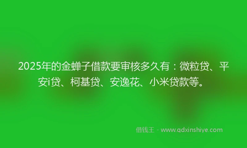2025年的金蝉子借款要审核多久有：微粒贷、平安i贷、柯基贷、安逸花、小米贷款等。