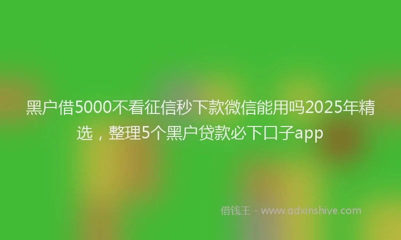 黑户借5000不看征信秒下款微信能用吗2025年精选，整理5个黑户贷款必下口子app