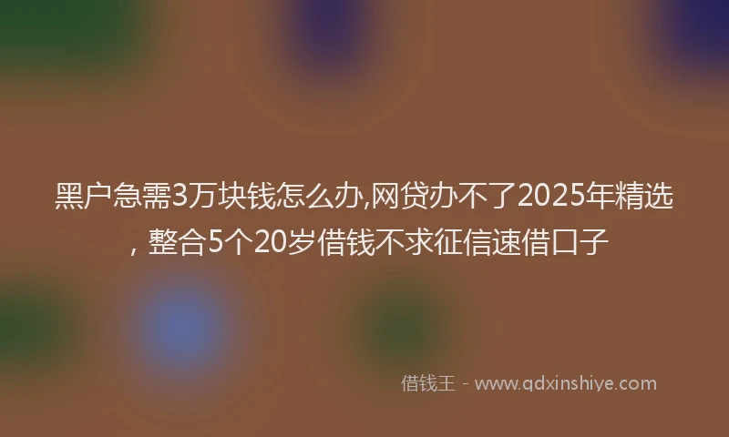 黑户急需3万块钱怎么办,网贷办不了2025年精选，整合5个20岁借钱不求征信速借口子