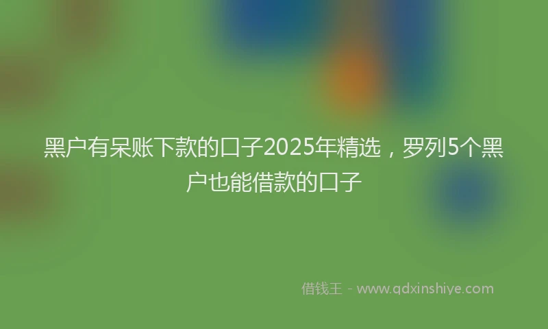 黑户有呆账下款的口子2025年精选，罗列5个黑户也能借款的口子