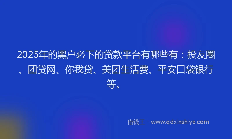 2025年的黑户必下的贷款平台有哪些有：投友圈、团贷网、你我贷、美团生活费、平安口袋银行等。