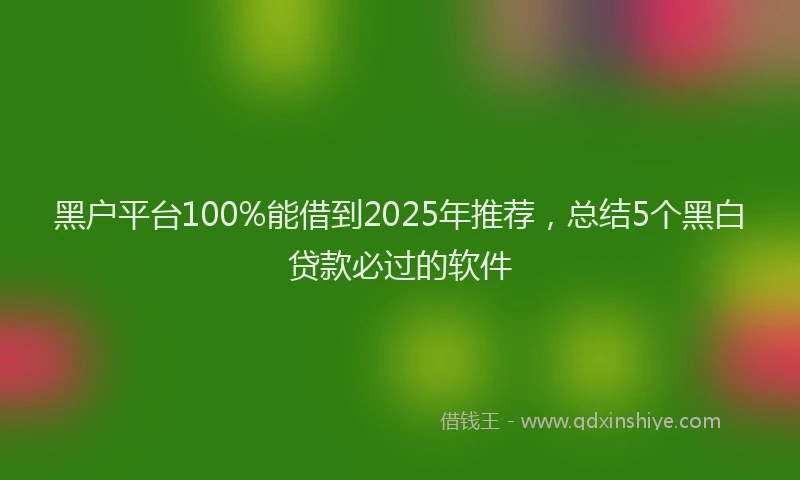 黑户平台100%能借到2025年推荐，总结5个黑白贷款必过的软件