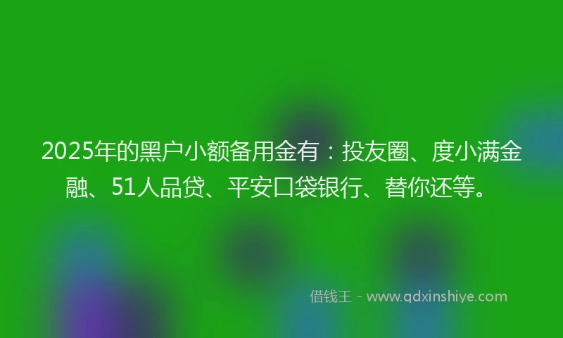 2025年的黑户小额备用金有：投友圈、度小满金融、51人品贷、平安口袋银行、替你还等。