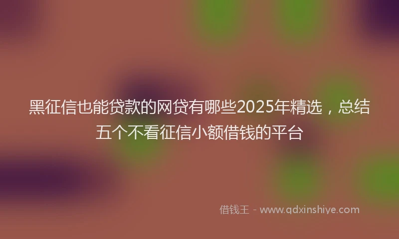 黑征信也能贷款的网贷有哪些2025年精选，总结五个不看征信小额借钱的平台