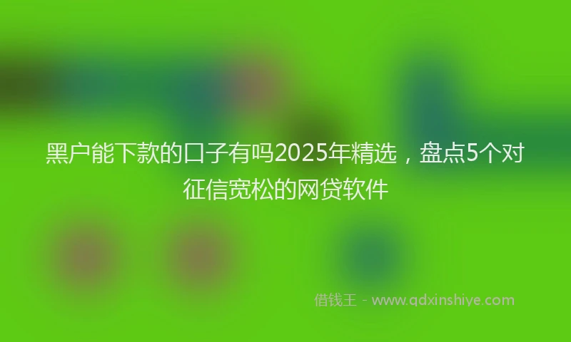 黑户能下款的口子有吗2025年精选，盘点5个对征信宽松的网贷软件