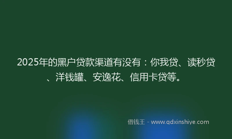 2025年的黑户贷款渠道有没有:你我贷、读秒贷、洋钱罐、安逸花、信用卡贷等。