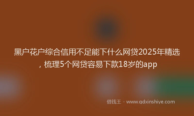黑户花户综合信用不足能下什么网贷2025年精选，梳理5个网贷容易下款18岁的app
