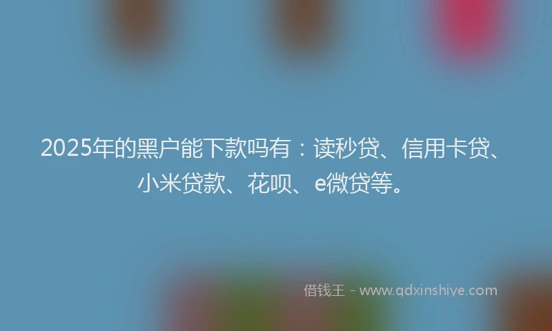2025年的黑户能下款吗有：读秒贷、信用卡贷、小米贷款、花呗、e微贷等。