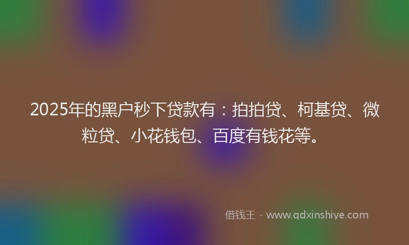 2025年的黑户秒下贷款有：拍拍贷、柯基贷、微粒贷、小花钱包、百度有钱花等。
