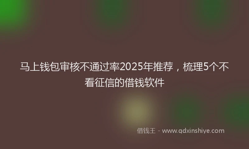 马上钱包审核不通过率2025年推荐，梳理5个不看征信的借钱软件