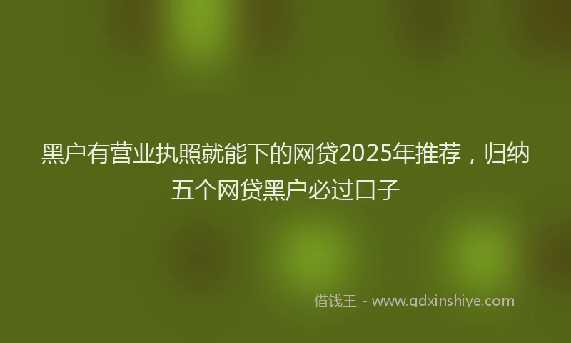 黑户有营业执照就能下的网贷2025年推荐，归纳五个网贷黑户必过口子
