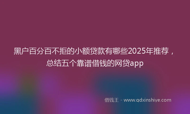 黑户百分百不拒的小额贷款有哪些2025年推荐，总结五个靠谱借钱的网贷app