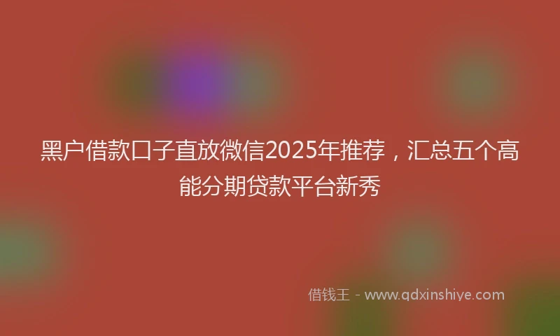 黑户借款口子直放微信2025年推荐，汇总五个高能分期贷款平台新秀