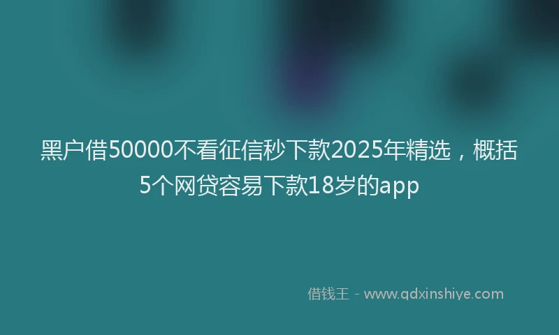 黑户借50000不看征信秒下款2025年精选，概括5个网贷容易下款18岁的app
