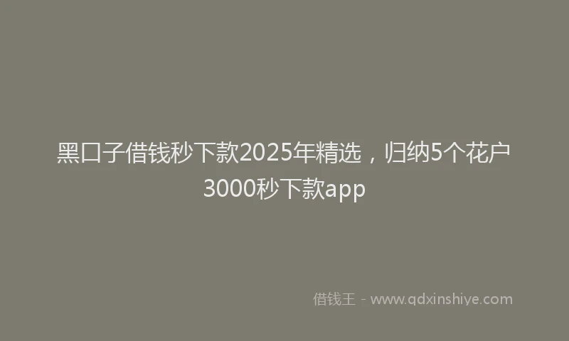 黑口子借钱秒下款2025年精选，归纳5个花户3000秒下款app