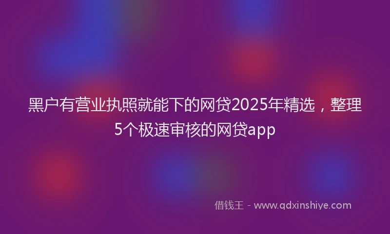 黑户有营业执照就能下的网贷2025年精选，整理5个极速审核的网贷app
