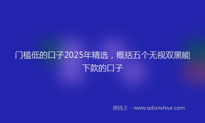 门槛低的口子2025年精选，概括五个无视双黑能下款的口子