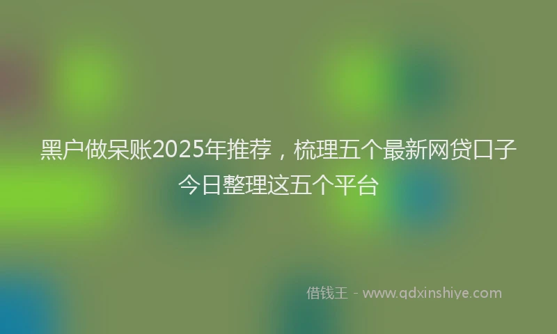 黑户做呆账2025年推荐，梳理五个最新网贷口子今日整理这五个平台