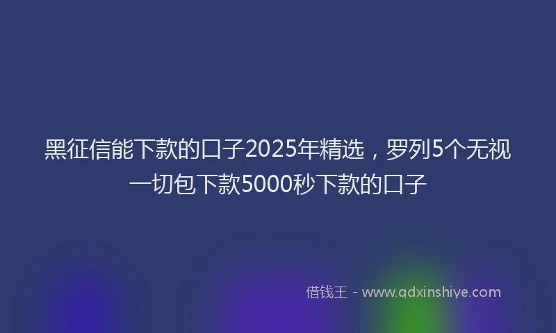 黑征信能下款的口子2025年精选，罗列5个无视一切包下款5000秒下款的口子
