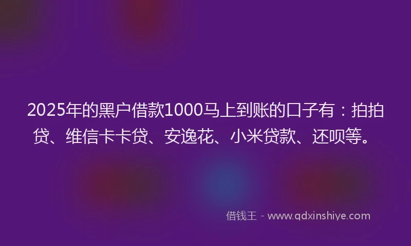 2025年的黑户借款1000马上到账的口子有：拍拍贷、维信卡卡贷、安逸花、小米贷款、还呗等。