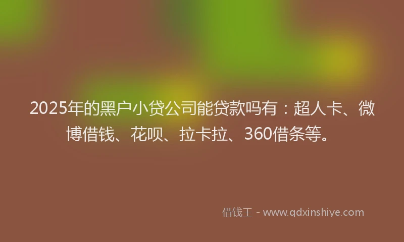 2025年的黑户小贷公司能贷款吗有：超人卡、微博借钱、花呗、拉卡拉、360借条等。