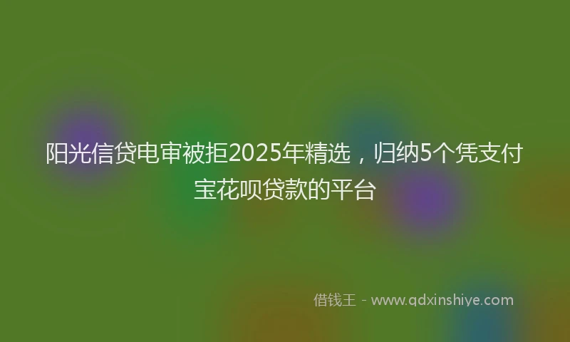 阳光信贷电审被拒2025年精选，归纳5个凭支付宝花呗贷款的平台