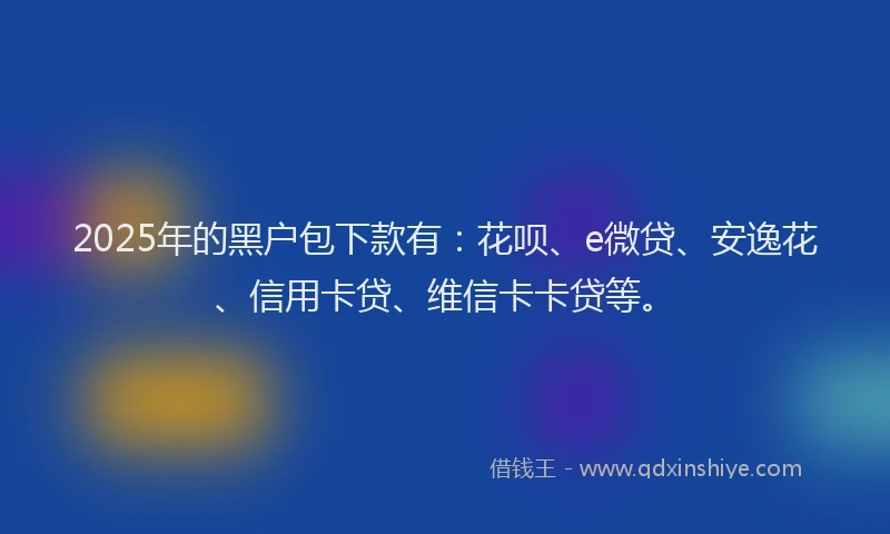 2025年的黑户包下款有：花呗、e微贷、安逸花、信用卡贷、维信卡卡贷等。