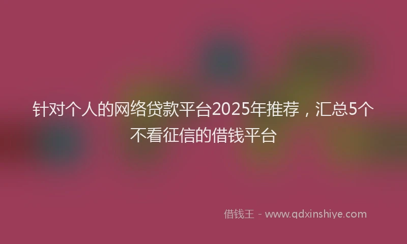 针对个人的网络贷款平台2025年推荐，汇总5个不看征信的借钱平台