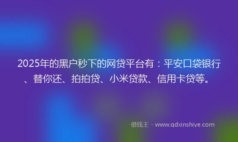 2025年的黑户秒下的网贷平台有：平安口袋银行、替你还、拍拍贷、小米贷款、信用卡贷等。