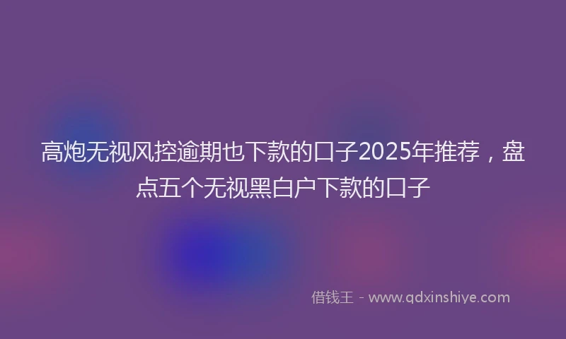 高炮无视风控逾期也下款的口子2025年推荐，盘点五个无视黑白户下款的口子