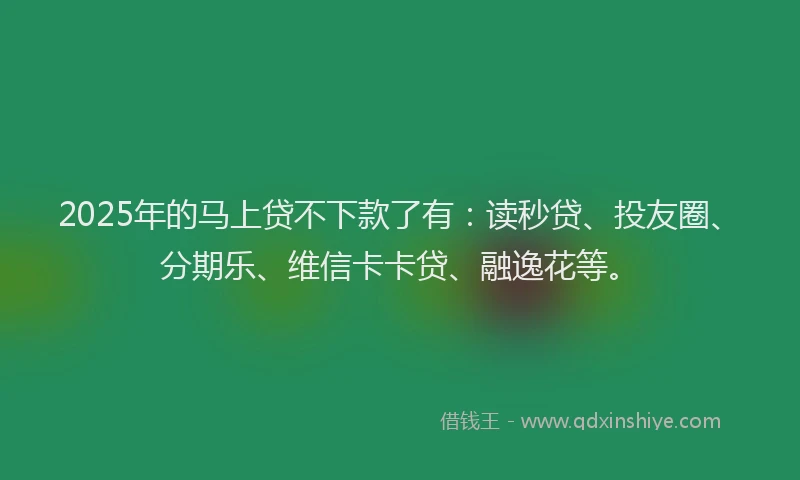 2025年的马上贷不下款了有：读秒贷、投友圈、分期乐、维信卡卡贷、融逸花等。