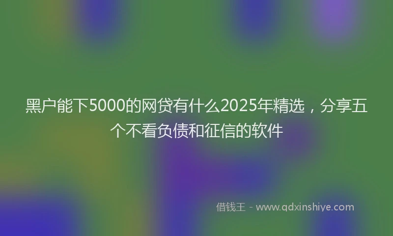 黑户能下5000的网贷有什么2025年精选，分享五个不看负债和征信的软件