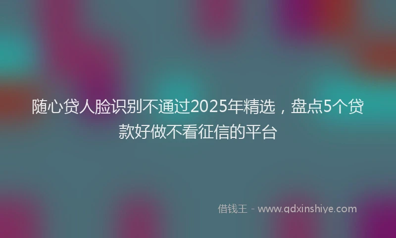 随心贷人脸识别不通过2025年精选，盘点5个贷款好做不看征信的平台
