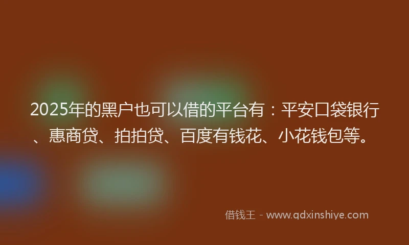 2025年的黑户也可以借的平台有：平安口袋银行、惠商贷、拍拍贷、百度有钱花、小花钱包等。
