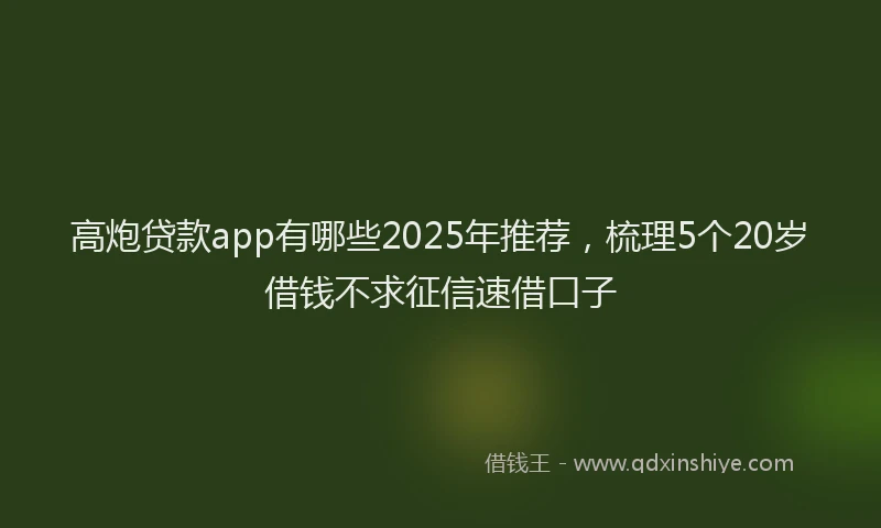 高炮贷款app有哪些2025年推荐，梳理5个20岁借钱不求征信速借口子