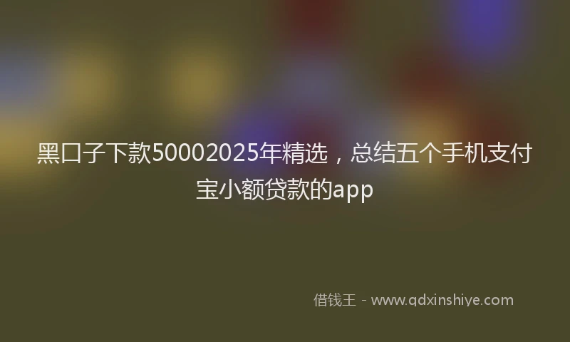 黑口子下款50002025年精选，总结五个手机支付宝小额贷款的app