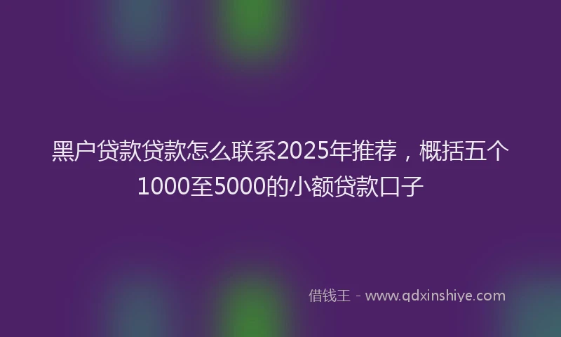 黑户贷款贷款怎么联系2025年推荐，概括五个1000至5000的小额贷款口子